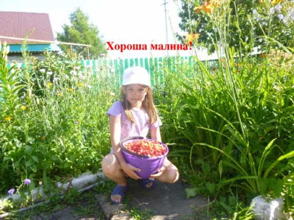 Поделки на тему лето своими руками - интересные идеи из бумаги, ракушек, цветов