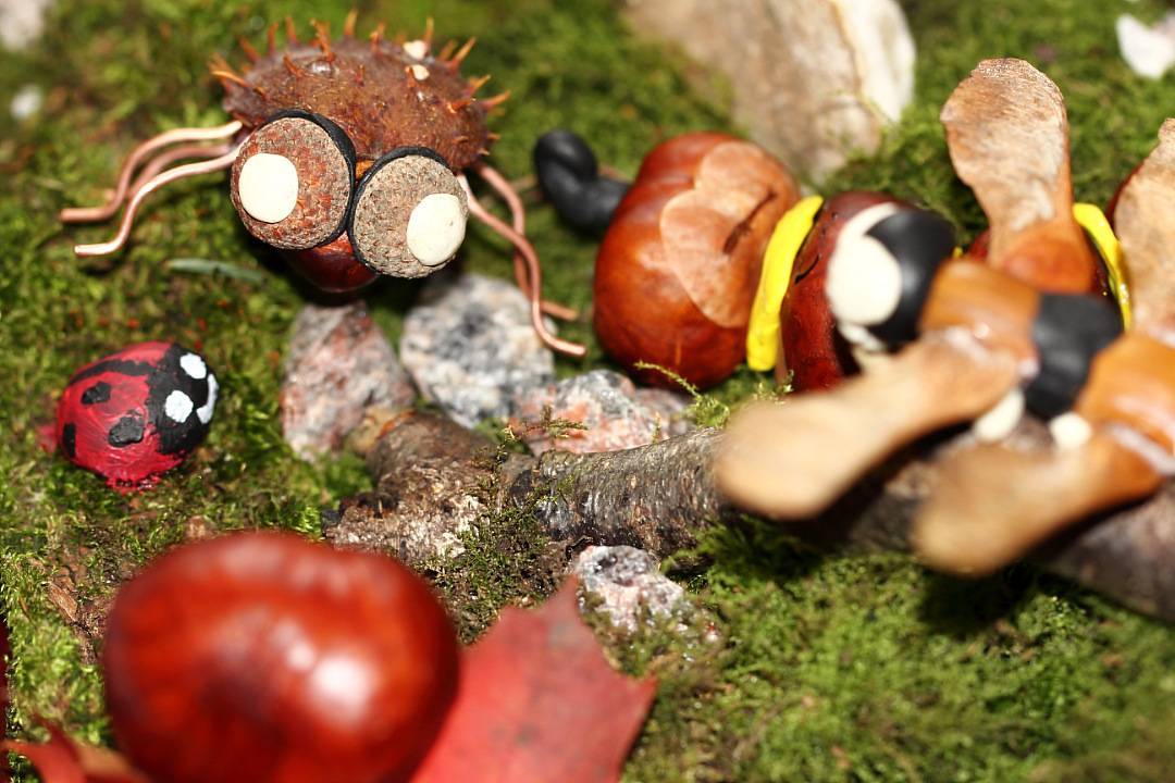 Поделки из каштанов - особенности работы с осенним материалом, мастер-классы, фото идеи